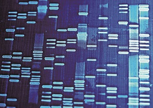 208쪽 그림 Ⅵ-4_9.1984년, DNA 지문 검색 기술 개발.jpg