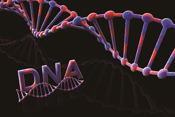 135쪽 그림 Ⅳ-9_4. DNA 이중 나선 구조 규명.jpg